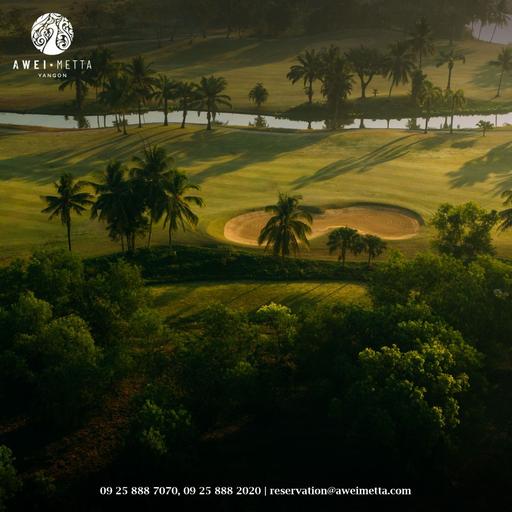 Awei Metta's Golf 